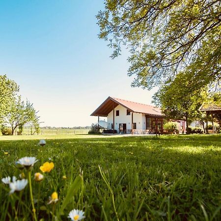 Sonnenblumenhof Pensionat Mühlheim Eksteriør billede