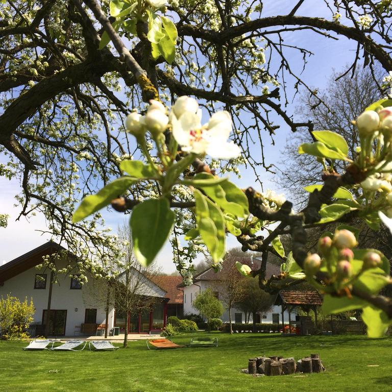 Sonnenblumenhof Pensionat Mühlheim Eksteriør billede